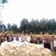 Marga Buay Belunguh, Tanjung Hikhan Umbul Buah, Kabupaten Tanggamus, melaksanakan panen raya Jagung pada tanah ulayat pada Kamis, 3 Oktober 2024.