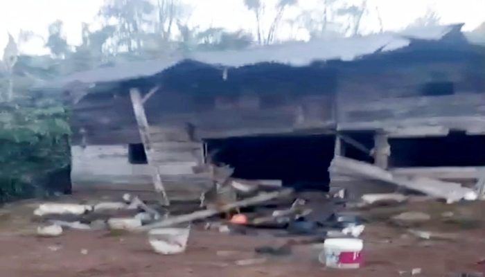 Gajah Liar Rusak Tanaman dan Gubukan Petani di Talang Sindang, Tanggamus