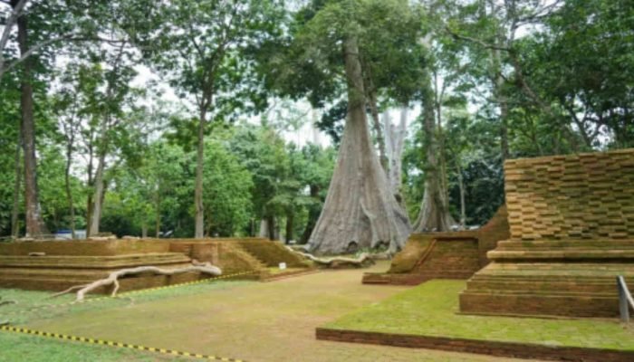 Menbud Fadli Zon Pantau Proses Pengembangan KCBN Muarajambi