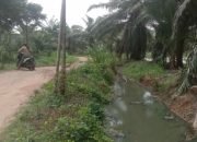 DUH! Limbah PT BKM di Lampung Timur Langsung Mengalir ke Way Sekampung