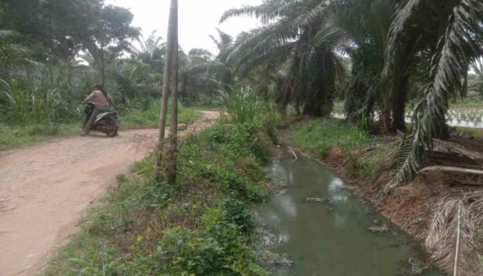 DUH! Limbah PT BKM di Lampung Timur Langsung Mengalir ke Way Sekampung