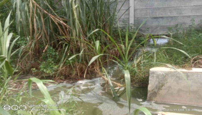 Walhi Lampung Minta DLH Lamtim Turun ke Lokasi Pabrik Tapioka di Sindang Anom