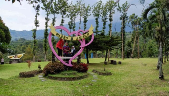 Menikmati Suasana Wisata Kebun Durian Warso Farm di Cijeruk