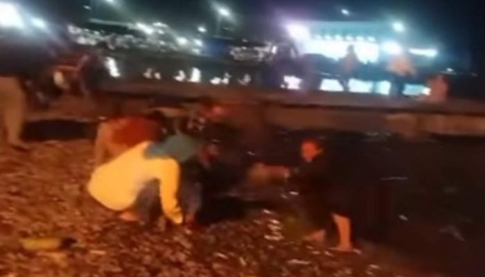 Heboh Fenomena Ikan Cekong Naik ke Darat di Pantai Kota Agung, Tanggamus