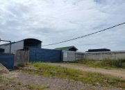 DLH Lampung Timur Diminta Turun ke Lokasi Penggemukan Babi di Desa GPJ Sekampung Udik