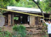 IRT asal Kuripan Tewas Diserang Gajah Liar di Blok 3 BNS Tanggamus