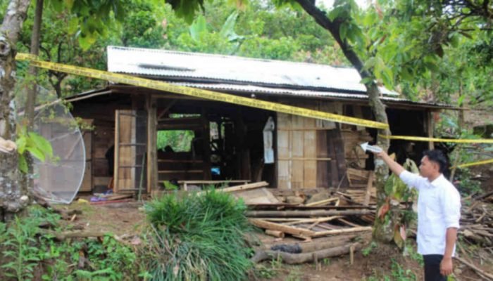 IRT asal Kuripan Tewas Diserang Gajah Liar di Blok 3 BNS Tanggamus