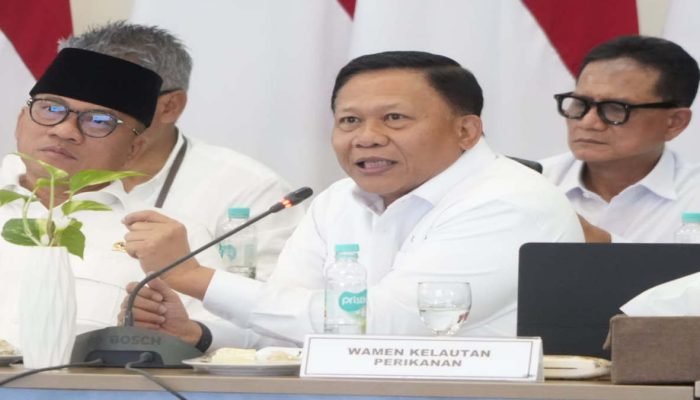 Wamen Didit Kunjungi Pulau Pasaran Lampung, Dorong Produksi Teri Kualitas Ekspor