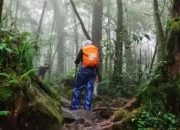 Antisipasi Cuaca Ekstrem, Jalur Pendakian Resmi Gunung Salak Bogor Ditutup