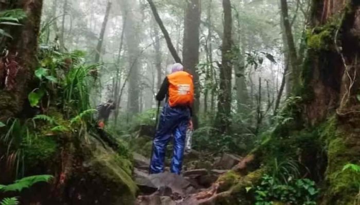 Antisipasi Cuaca Ekstrem, Jalur Pendakian Resmi Gunung Salak Bogor Ditutup