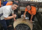 Perwakilan manajemen FajarPaper, Leonard Lumenta saat melaksanakan panen ikan lele sebagai hasil budidaya mandiri, di RT 3, Desa Telaga Murni, Kabupaten Bekasi, pada 17 Desember 2024.