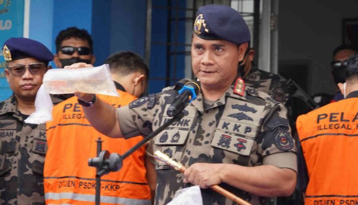 Tim Buser Ditjen PSDKP Gagalkan Penyelundupan BBL Senilai Rp7,8 Miliar di Krui, Lampung