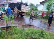 Laka Maut di Desa GSB, Pemotor Tewas Dilintas Truk Muatan Batu