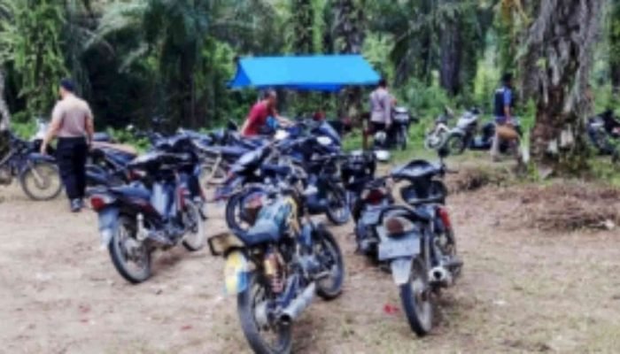 Gerebek Arena Sabung Ayam di Pubian, Polsek Padang Ratu Amankan 11 Unit Motor