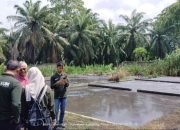 Turun Verifikasi Kandang Babi di Desa GPJ, DLH Lampung Timur Pastikan Tak Memberi Rekomendasi Apapun?