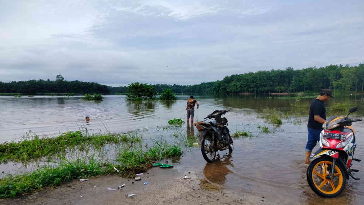 Puluhan hektar sawah di Desa Toba terlihat jadi danau setelah direndam banjir luapan dari Bendung Margatiga, Sabtu 18 Januari 2025 - foto Jali