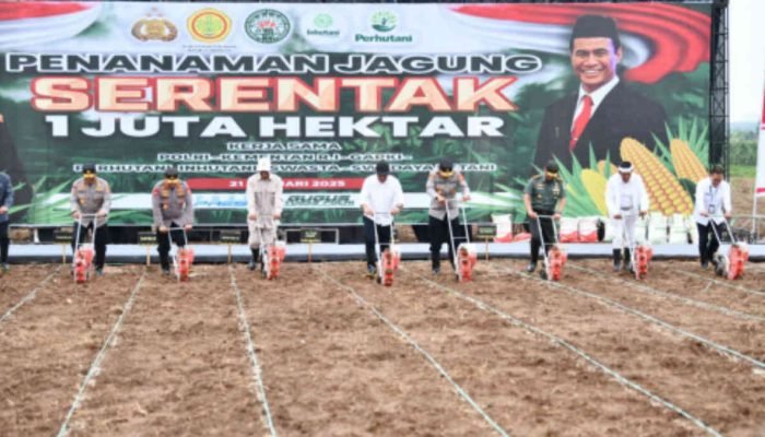 Polemik Harga Singkong di Lampung, Mentan Ingatkan Importir Tak Zhalim ke Petani