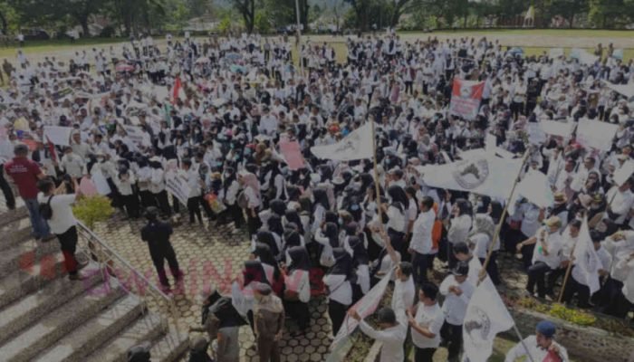 Ribuan Honorer “Serbu” Kantor Pj Bupati Tanggamus, Tuntut Status PPPK Penuh Waktu