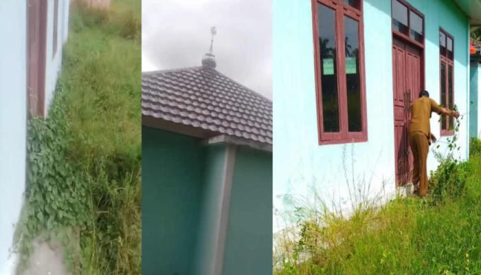 Terbengkalai, Begini Kondisi Musala di Kantor Kecamatan Kota Agung Timur Ditumbuhi Rumput Liar