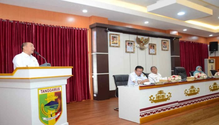 Hadiri FGD dan Pembinaan Statistik Sektoral, Pj Bupati Tanggamus Ajak OPD Tingkatkan Koordinasi