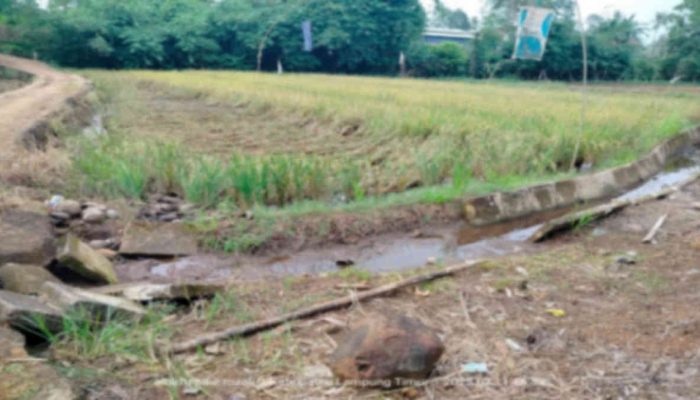 Proyek P3TGAI Mangkrak di GSB Lamtim, BPD: Uangnya Dipinjam Anggota Dewan dari Fraksi NasDem?