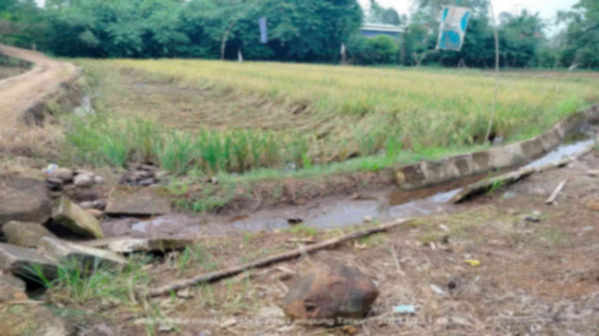 Penampakan proyek P3TGAI di Desa GSB yang dibangun tahun 2022- foto Jali