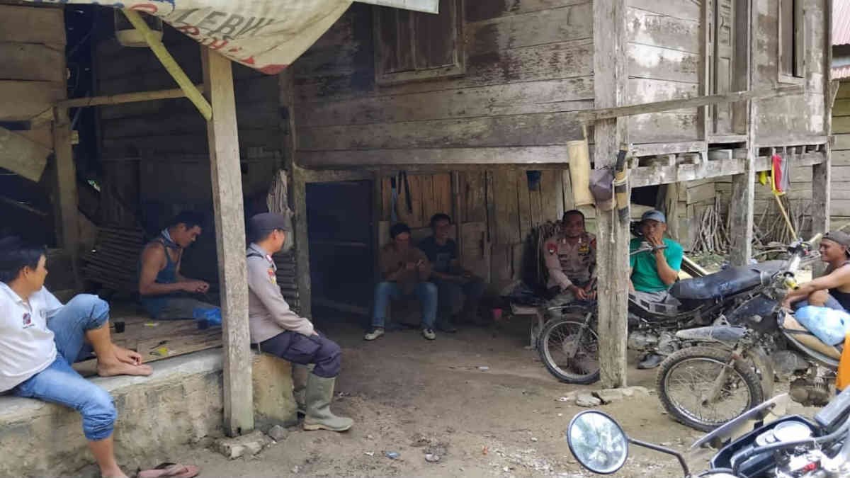 Kawanan gajah liar kembali memasuki permukiman warga di Umbul 8, Pekon Karang Agung, Kecamatan Semaka, Kabupaten Tanggamus, Lampung, pada Senin 3 Maret 2025, dini hari, (foto_hmp)