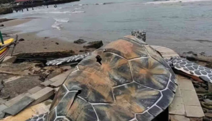 Patung Penyu di Alun-alun Gabobangkong Sukabumi Rp15,6 Miliar Jadi Sorotan, Ini Penjelasan Perkim Jabar