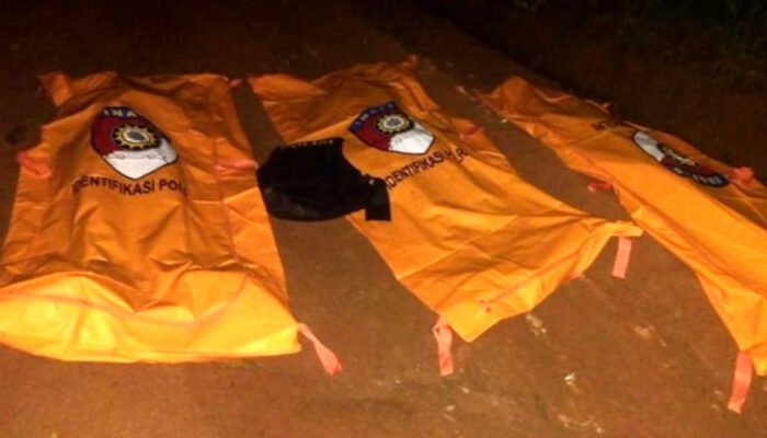 Gerebek Arena Sabung Ayam, Kapolsek Bersama Dua Anggotanya di Way Kanan Tewas Tertembak