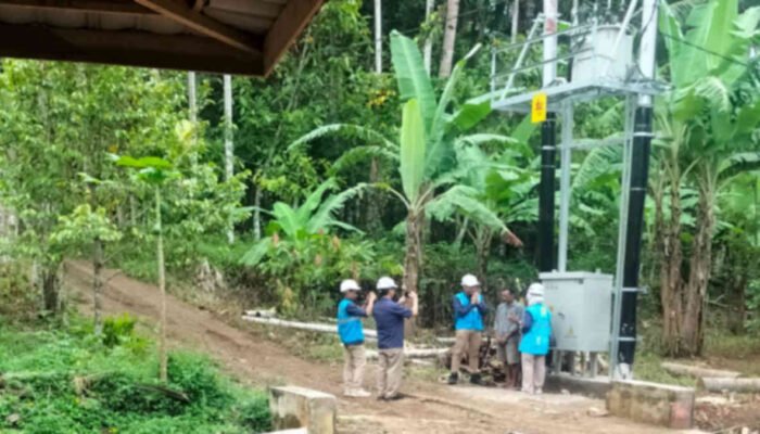 Tiga Orang Dipolisikan Terkait Proyek Jaringan Listrik Desa di Tanggamus