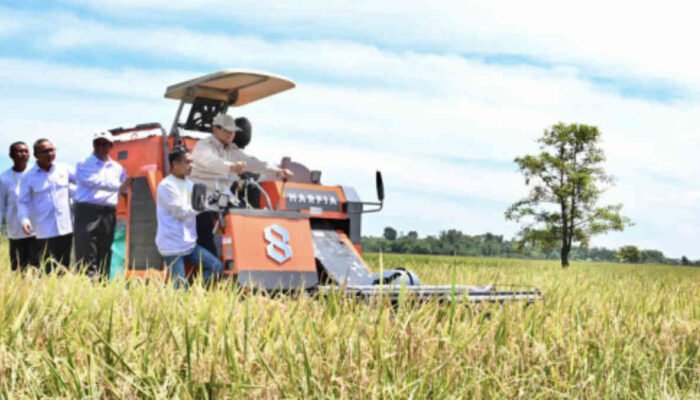 Panen Raya Padi Serentak di 14 Provinsi, Lampung Tengah Sumbang Ribuan Ton Gabah