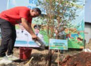 Pohon Pengganti Karangan Bunga Hiasi Kebun Buah Bekasi Keren di Kali Baru