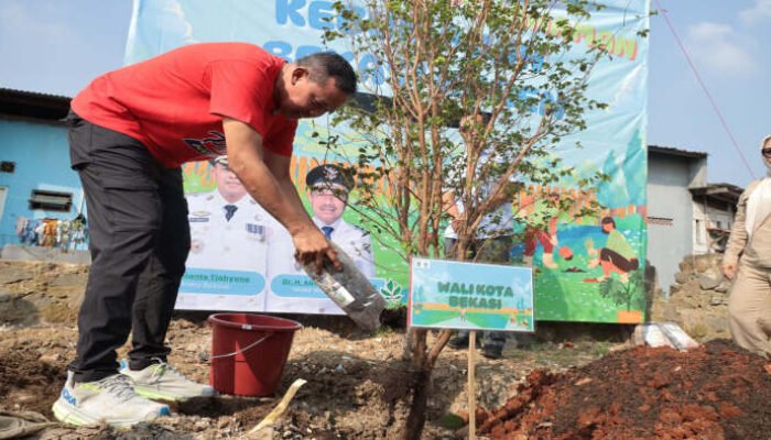 Pohon Pengganti Karangan Bunga Hiasi Kebun Buah Bekasi Keren di Kali Baru