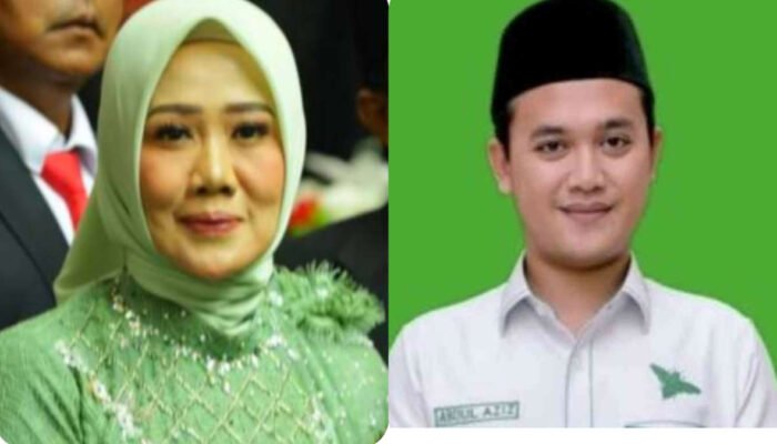 Pengganti Yus Bariah di DPRD Lampung Ternyata Sepupu Ketua PKB Lampung