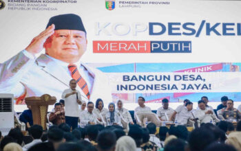 KDMP Bukan Minimart