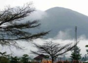 Miliki Daya Tarik Tersendiri The Sinsu Park Wonosobo Bisa Jadi Rekomendasi Wisata Keluarga