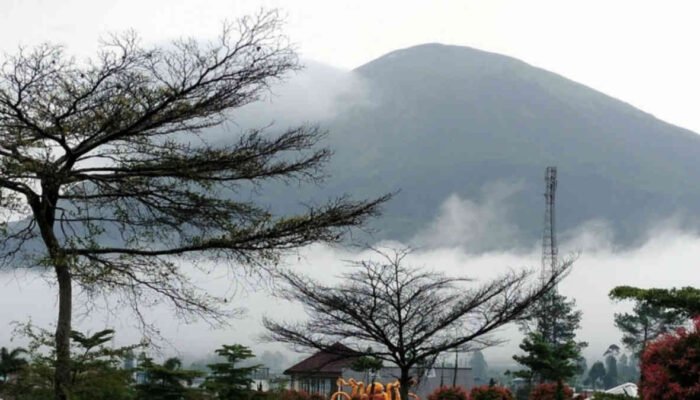 Miliki Daya Tarik Tersendiri The Sinsu Park Wonosobo Bisa Jadi Rekomendasi Wisata Keluarga