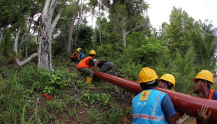 Beredar Surat PLN Terkait Pembangunan Jaringan Listrik Pedesaan di Atar Lebar, Tanggamus?