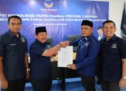 Pimpin Kembali NasDem Tanggamus, Kurnain Janji Bikin Partai Lebih Populis dan Pro-Rakyat