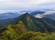 Geopark Kebumen dan Meratus Menambah Poisisi Nusantara sebagai Negara Megabiodiversitas