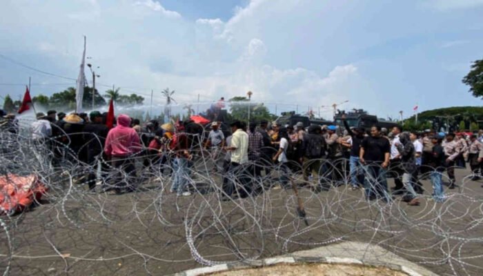 Tatakelola Distribusi Ubi Kayu di Lampung Amburadul, Mulai dari Impor hingga Monopoli Lahan