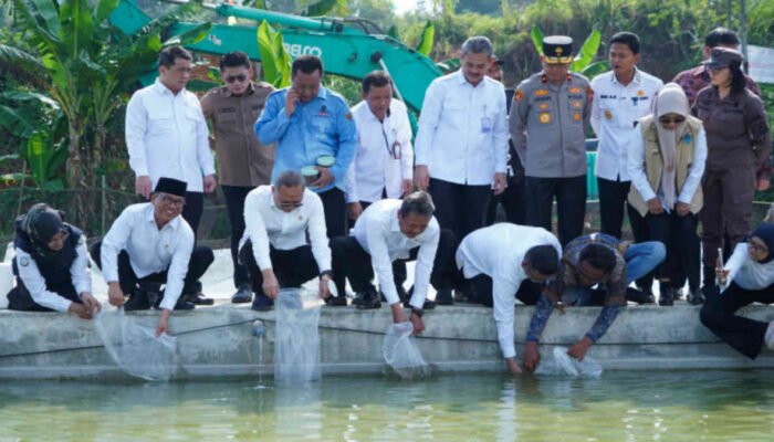 Desa Kertasana Pandeglang, Jadi Pusat Ekspor Budidaya Ikan Mas Koki
