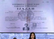 Ijazah Simalakama dan Stigma Pembohong