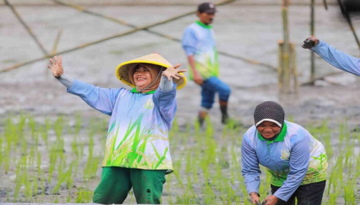 31 Hektar Lahan Sitaan Kasus Korupsi di Bekasi Jadi Tempat Program Jaksa Mandiri Pangan