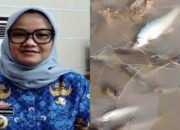 Way Sekampung Tercemar Lagi, Pemerintah Kembali Janji: Kali Ini Baru Mau Evaluasi