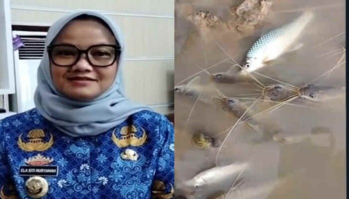 Way Sekampung Tercemar Lagi, Pemerintah Kembali Janji: Kali Ini Baru Mau Evaluasi