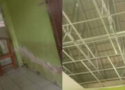 Anggaran Puluhan Juta, Gedung SDN 1 Sudimoro Malah Terabaikan, Misteri Dana BOS yang Menguap?