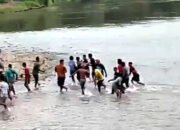 Mencekam! Warga Nekat Rebut Jasad Mbah Wasim dari Cengkeraman Buaya di Way Semaka
