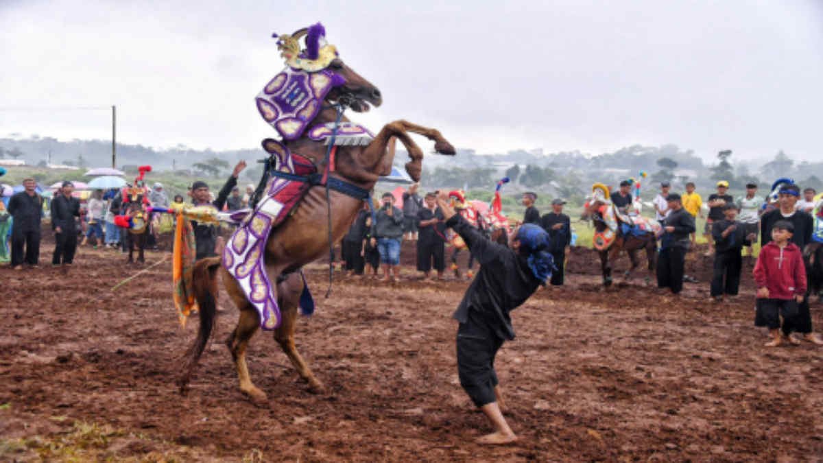 Wakil Gubernur Jawa Barat Erwan Setiawan menghadiri dan menyaksikan Kejuaraan Pacuan Kuda Cibogo Horse Festival 2025 di Gelanggang Pacuan Kuda - Cibogo Desa Raharja, Kecmatan Tanjungsari, Kabupaten Sumedang, Sabtu 28 Juni 2025, (foto_hms)