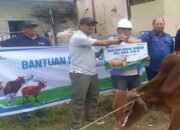 Sapi Kurban dari PWI Karimun dan PT Timah, Hadirkan Kebahagiaan di Masjid Alfalah Sei Pasir